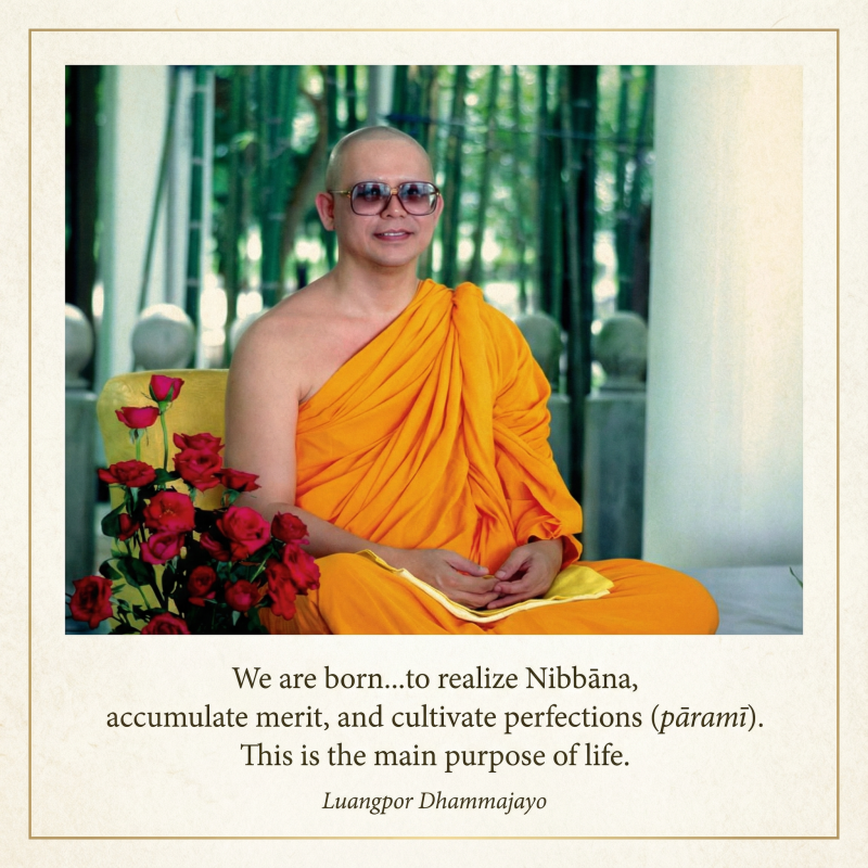 We are born…to realize Nibbāna, accumulate merit, and cultivate perfections (pāramī).  This is the main purpose of life.  (Luangpor Dhammajayo)
